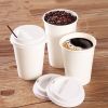 high quality paper coffee cup factory direct supply