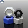 Hex Nuts