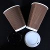 Custom made take away biodegradable PLA coffee disposable paper cups