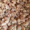 GUM Arabic HASHAB