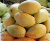 High Quality Mango in ...