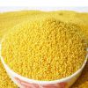 2018 crop white red black yellow glutinous broomcorn millet sticky millet for bird feeds