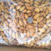 Certified Almonds / Almond nut /Almonds kernel from manufacturing company