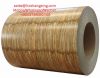 Wood Pattern Color Coa...