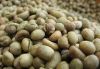 VIETNAM ROBUSTA COFEE ...