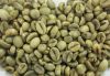 ROBUSTA COFFEE BEANS G...