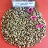 ROBUSTA COFFEE BEAN 