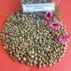 ROBUSTA COFFEE BEAN 