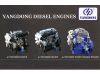 Yangdong Diesel Engine...