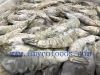 Frozen Raw PD Vannamei Shrimp Good Quality Good Price