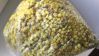 dried helichrysum flowers