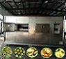 Microwave Vacuum Low T...