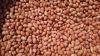 groundnuts / Peanuts
