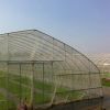 Agricultural Anti Inse...