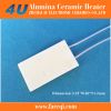 ceramic heater element