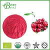 Lingonberry Extract 