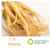 Ginseng Extract-80% Ginsenosides