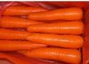 fresh carrots, red fre...