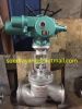 OS&amp;amp;amp;amp;amp;amp;amp;Y Globe Valve