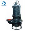 Submersible slurry pump with agitator