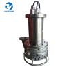 Submersible slurry pump with agitator