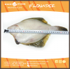 Yellow Fin Sole New Ca...