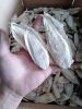 Cuttlefish Bones For B...