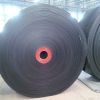 Heat Resistant Conveyo...