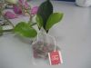 Tea Bags (with green t...