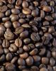 Best Sumatra Coffee Beans