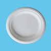 biodegradable bagasse ...