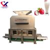 3 t/h Dragon Fruit Pitaya Peeling and Juice Making Machine