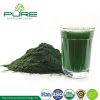 Organic Green Spirulina Powder