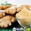 Organic Dried Ginger Powder