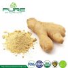 Organic Dried Ginger Powder