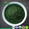 Organic Green Spirulina Powder