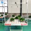 Customized ebb and flow bench rolling table in greenhouse