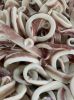 Frozen Squid Rings