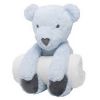 Huggie Plush Bear