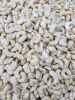 Cashew Nuts / Wholesale Price Cashews kernel factory