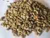 Robusta green coffee beans from Vietnam Factory