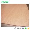 RILICO pine plywood 40...