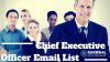Chief Executive Office...