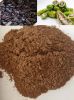 Material Noni Fruit/ Morinda Citrifilia Extract Powder