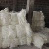 Raw natural sisal fiber ( Fine Quality and Best price )