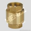 Thread NPT BSP Flanged RF FF Bronze Brass Lift T Type Swing Check Valve