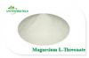 Magnesium L-Threonate