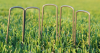 garden nail
