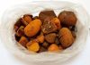 Buy Ox Gallstones, Buy Cattle Gallstones / Cow Gallstones for sale