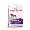 Royal Canin Maxi Start...